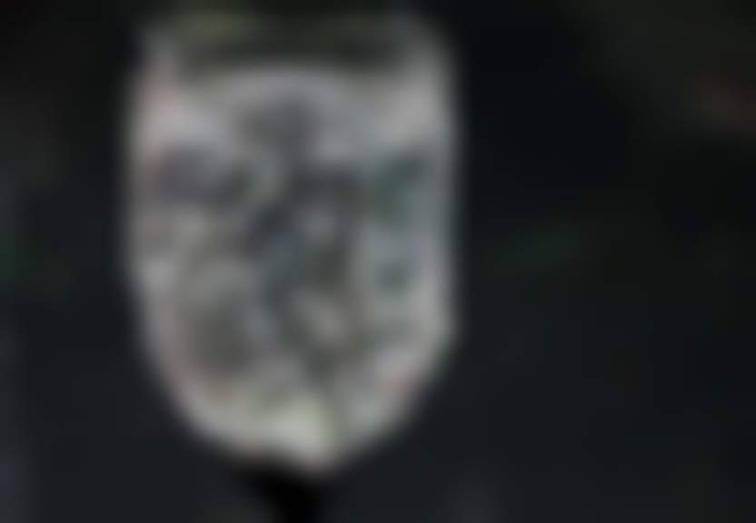 manfredrichter/3755 images/Pixabay