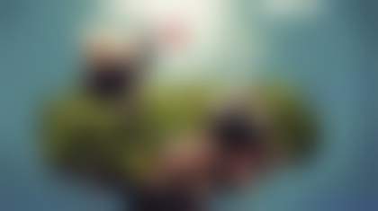 Декоративное изображение