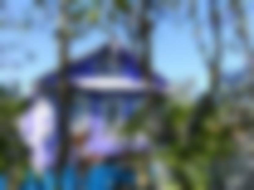 Источник: Pixabay