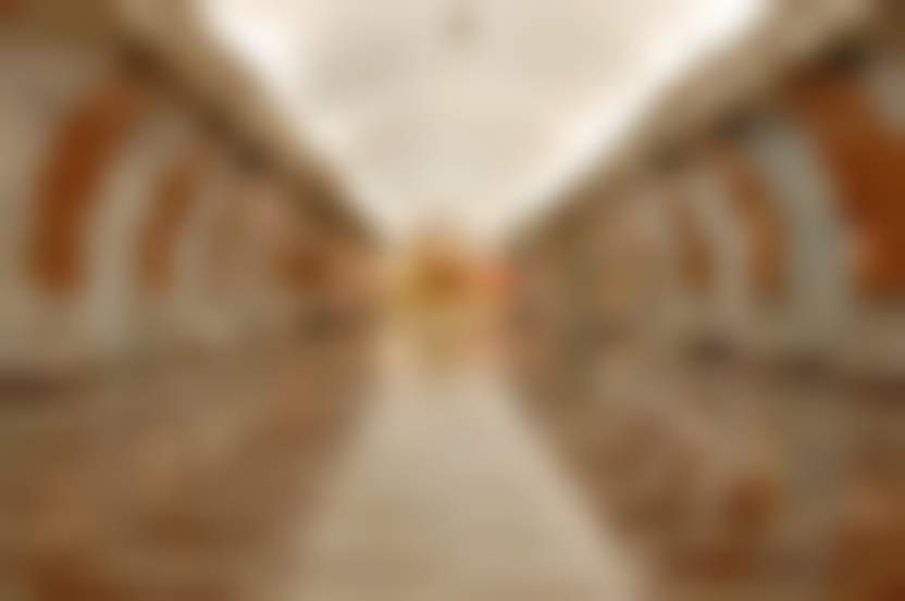 Paulvandoggenaar / Pixabay.com