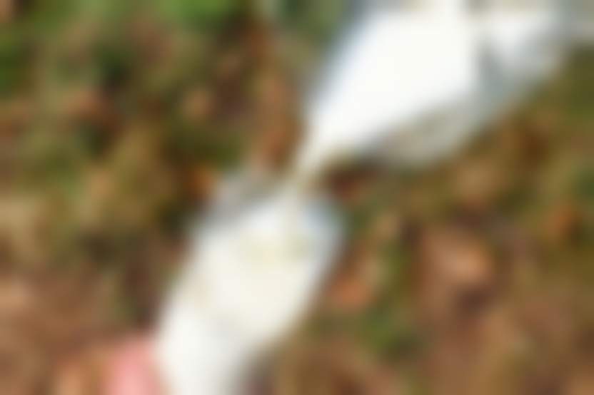 молоко, pixabay