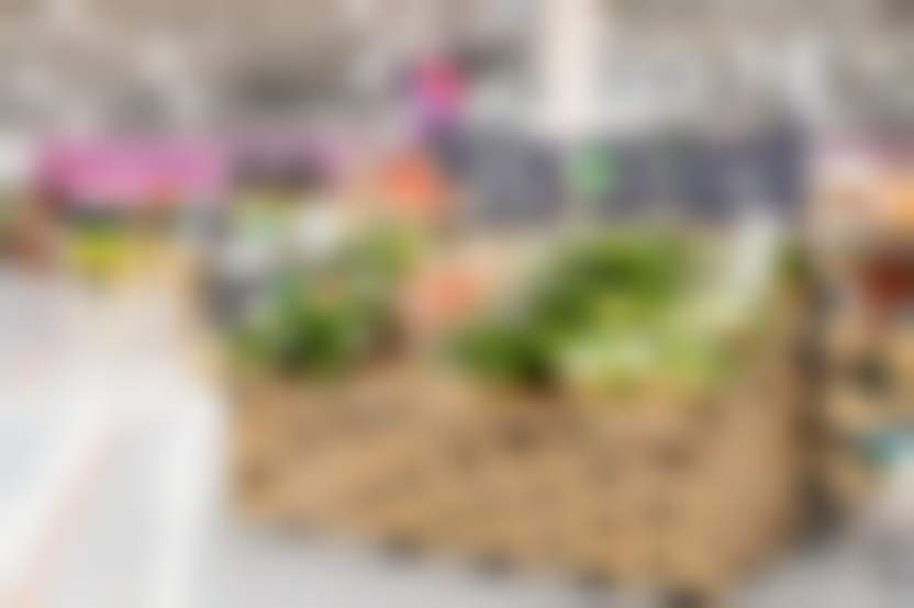 Суперстор «Магнита» с кафе и открытой кухней