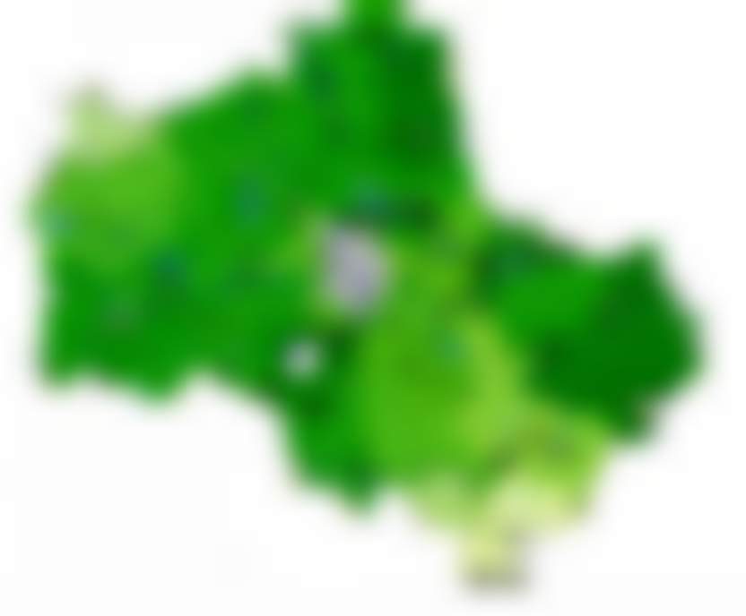 «Шишкин лес»: путь воды