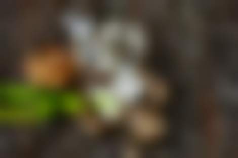 Декоративное изображение