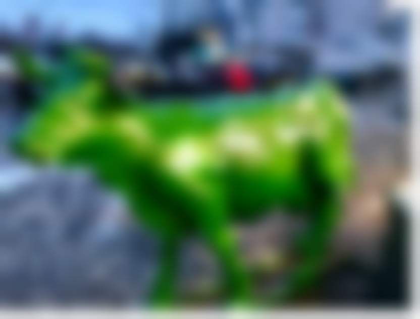 2019-12-19_11-56-42.png