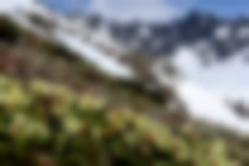 Natalia_Kollegova / Pixabay.com