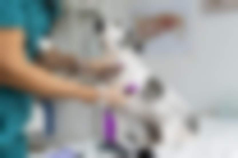 Источник: Freepik