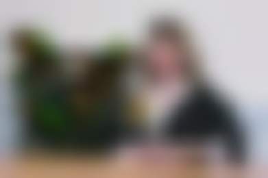 «Кризис стал катализатором роста СТМ»