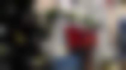 Тематики новогодних витрин 2018 года