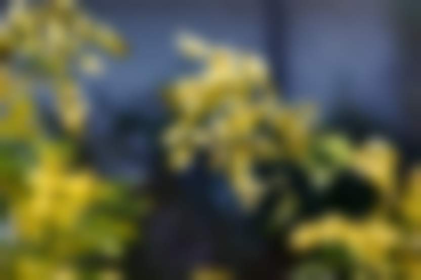 Источник: Pixabay