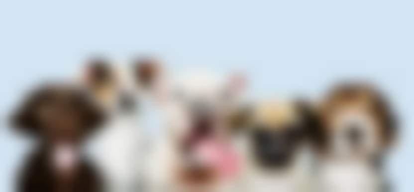 rawpixel.com/Freepik