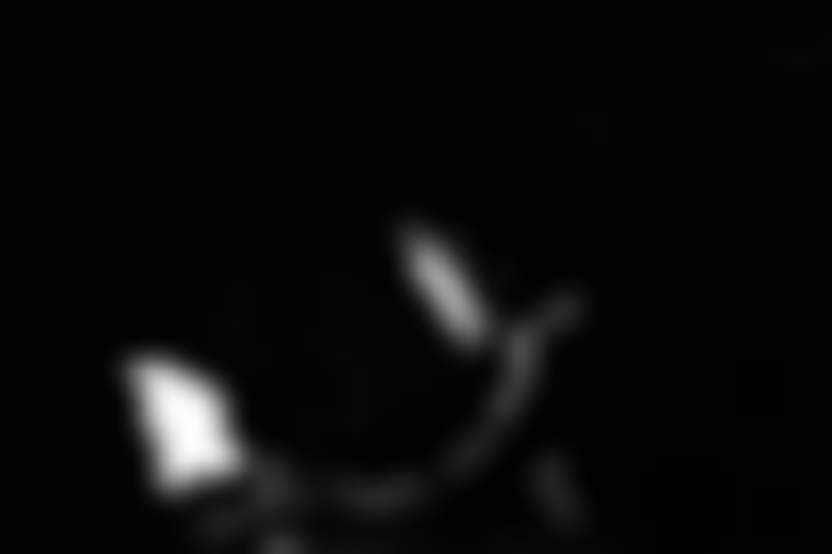 Источник: Pixabay