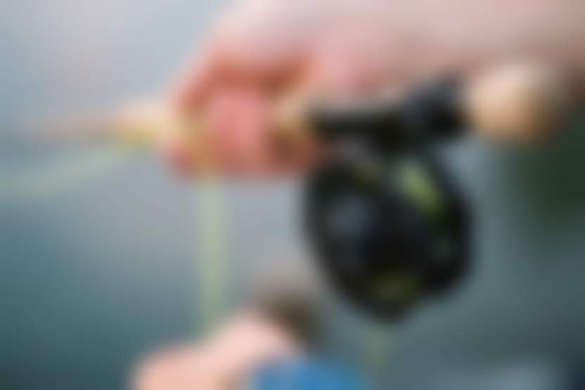 Free-Photos / pixabay.com