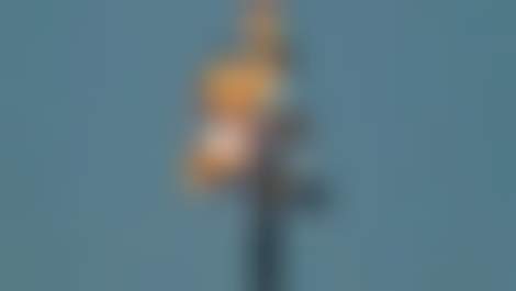 Декоративное изображение