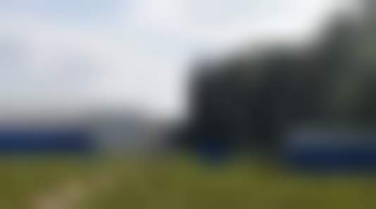 «Шишкин лес»: путь воды