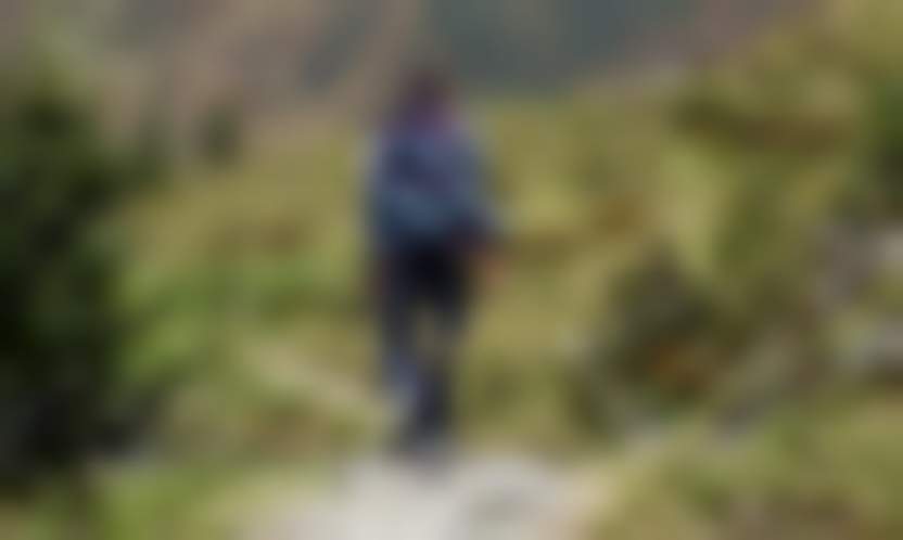 Hermann Traub / Pixabay 