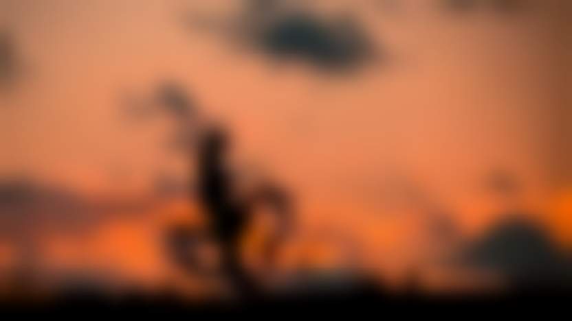 renategranade0 / pixabay.com