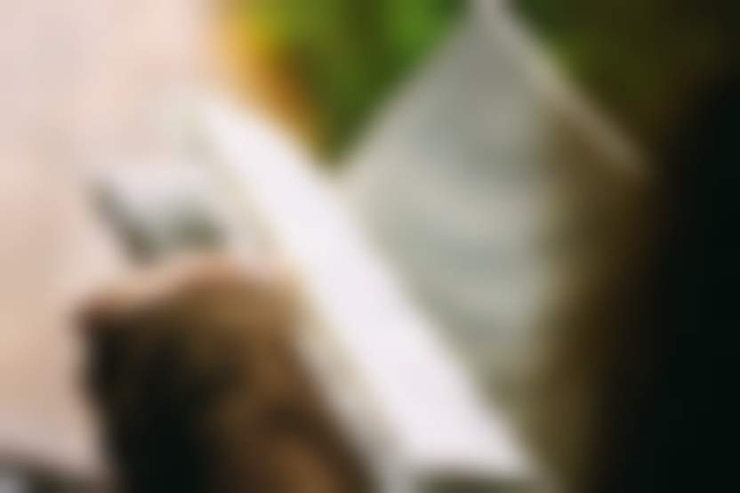 Free-Photos / Pixabay 