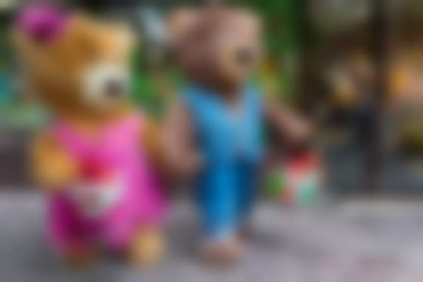 Фото: DmyTo/shutterstock