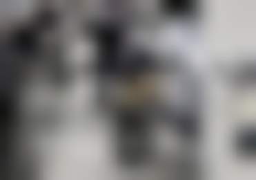 Всякому овощу свой курс