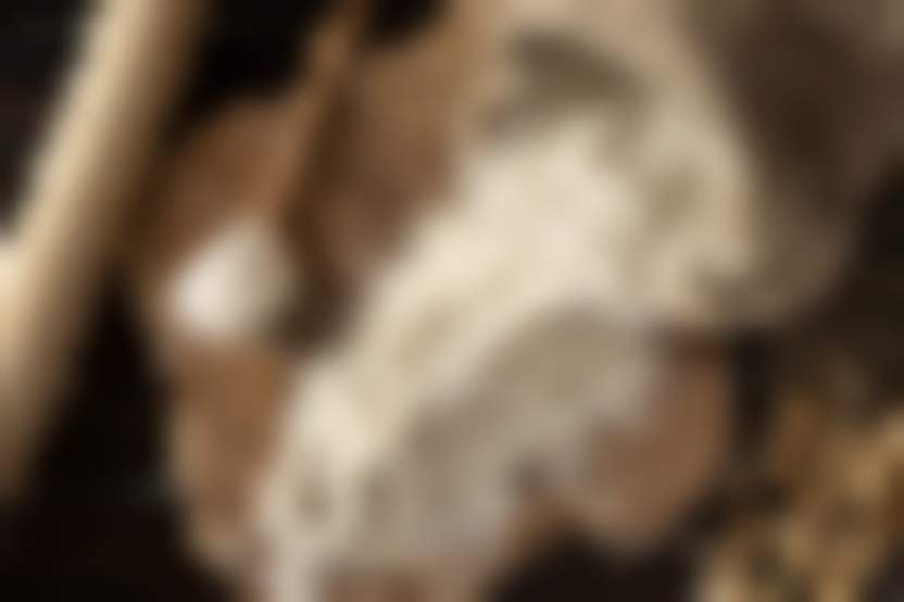 Источник: Freepik