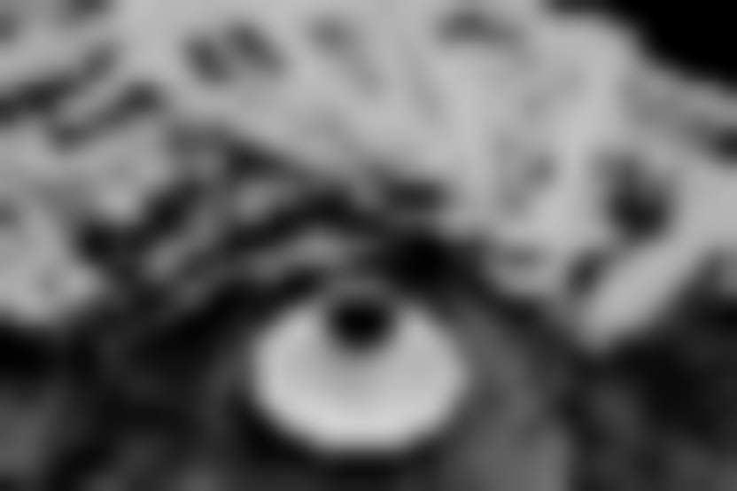 Sahinsezerdincer/ Pixabay