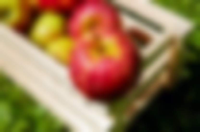 Источник: Pixabay