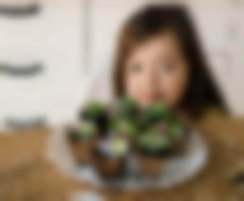 «О’Кей» провел «зеленую» акцию «Сеем добро»