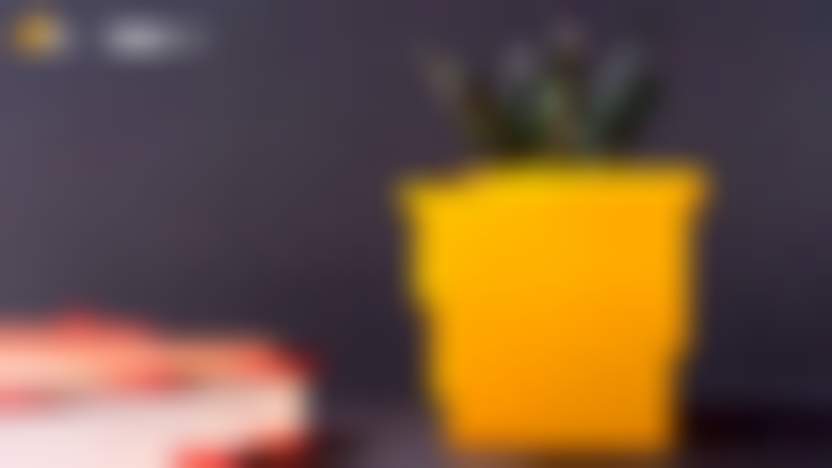 Фото_Деловые Линии.jpg