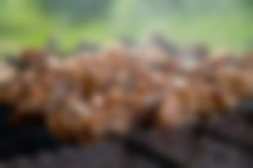 Источник: Pixabay