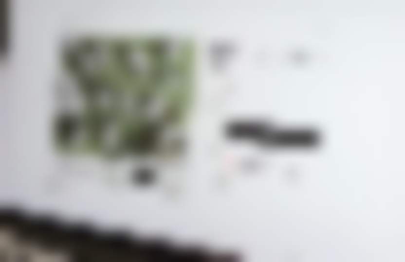 Eyezon: как организовать живые продажи на сайте