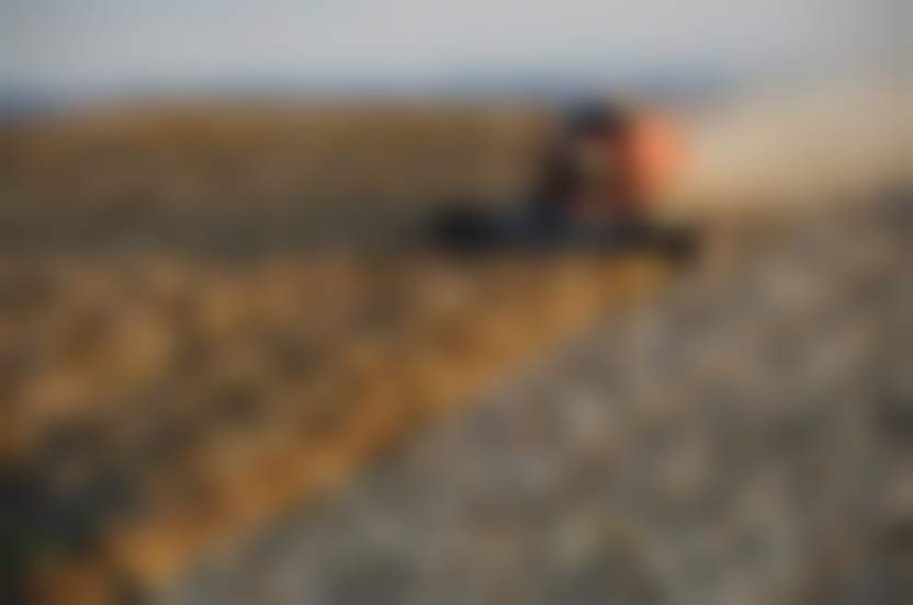 Charles Echer / Pixabay 