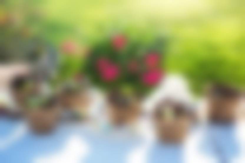 Источник: Pixabay