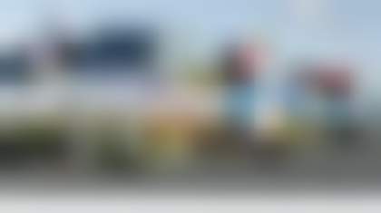 Декоративное изображение