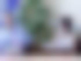 Декоративное изображение