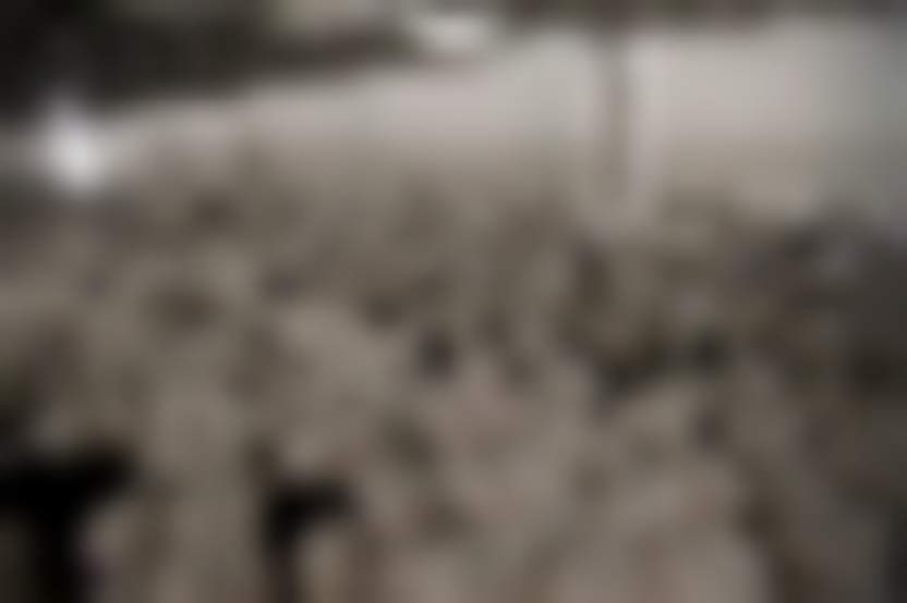 Вячеслав Краснояров, «Магнит»: «Планируем на 30% увеличить собственное производство овощей в 2020 году»