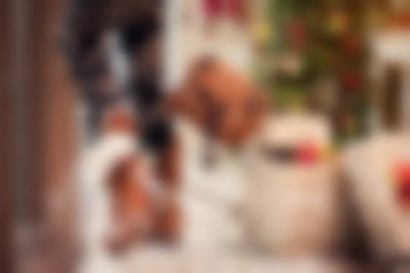 Источник: senivpetro / Freepik