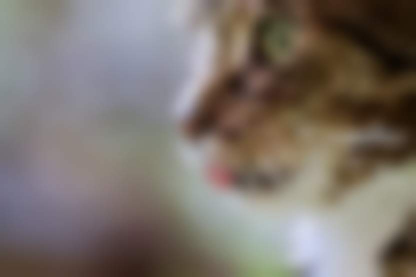 Источник: Pixabay