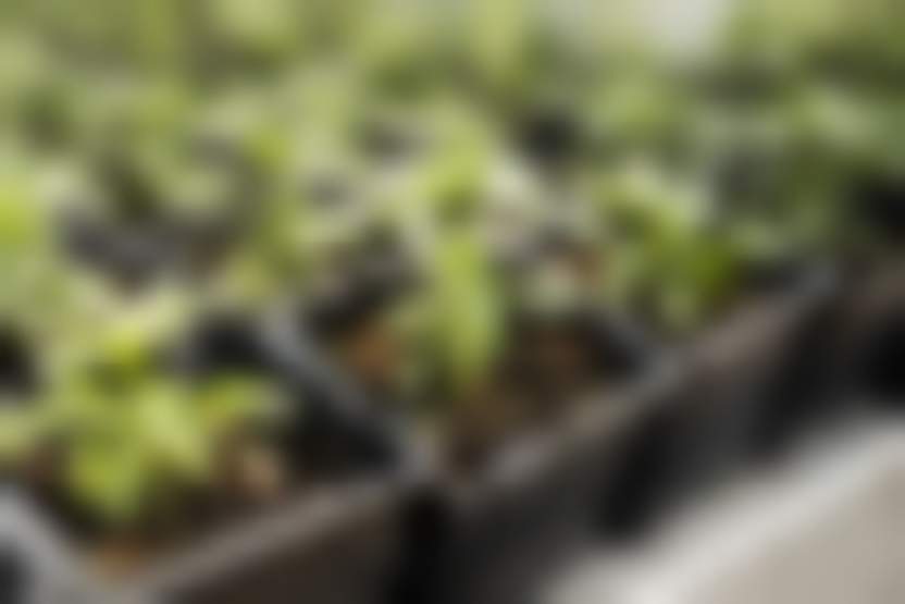 Источник: Freepik