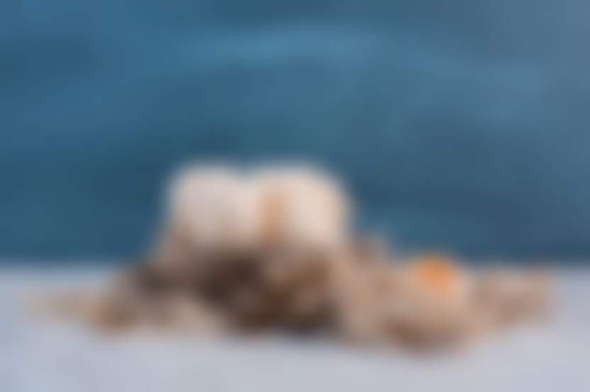 Источник: Freepik