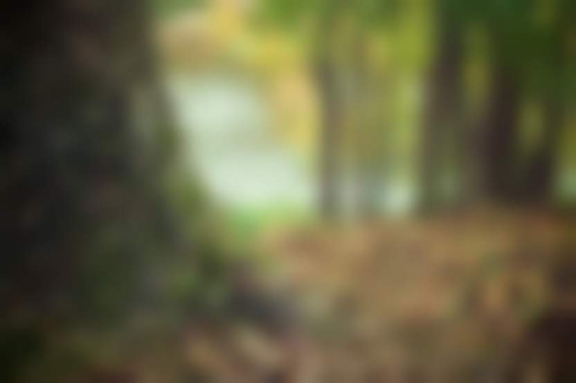 Источник: Pixabay