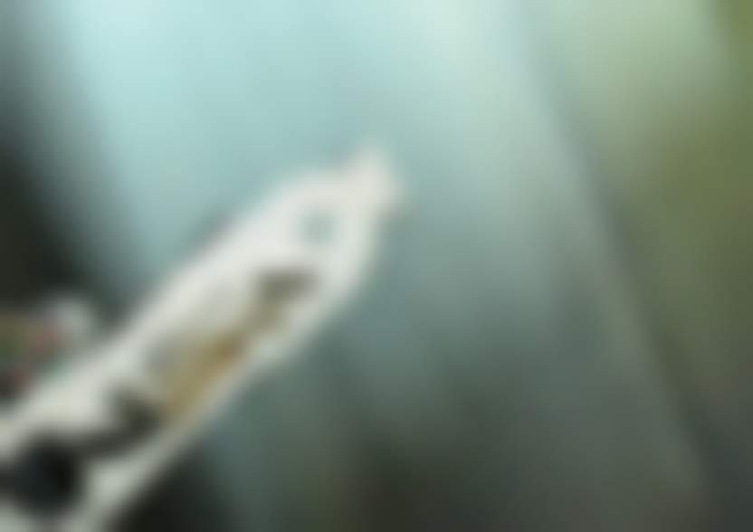 Источник: Pixabay