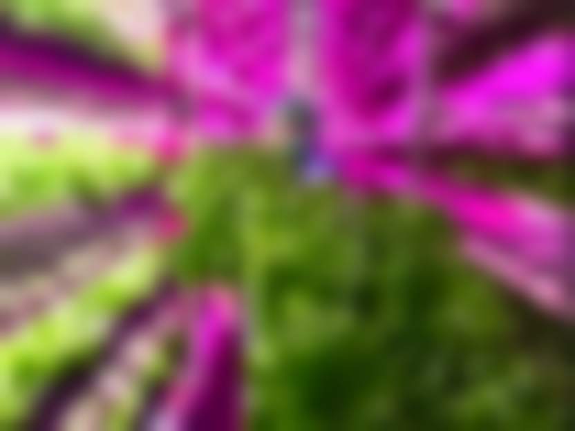 Фото: «ЭкоБудущее»