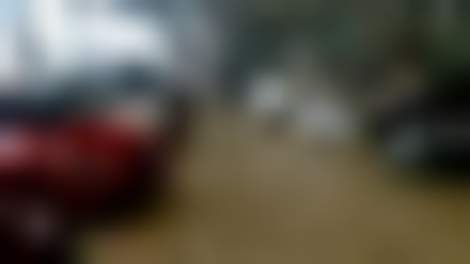 Декоративное изображение