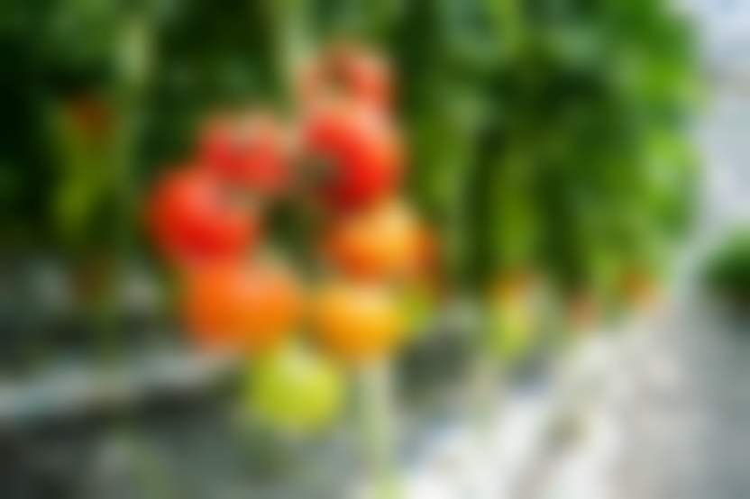 Источник: Pixabay