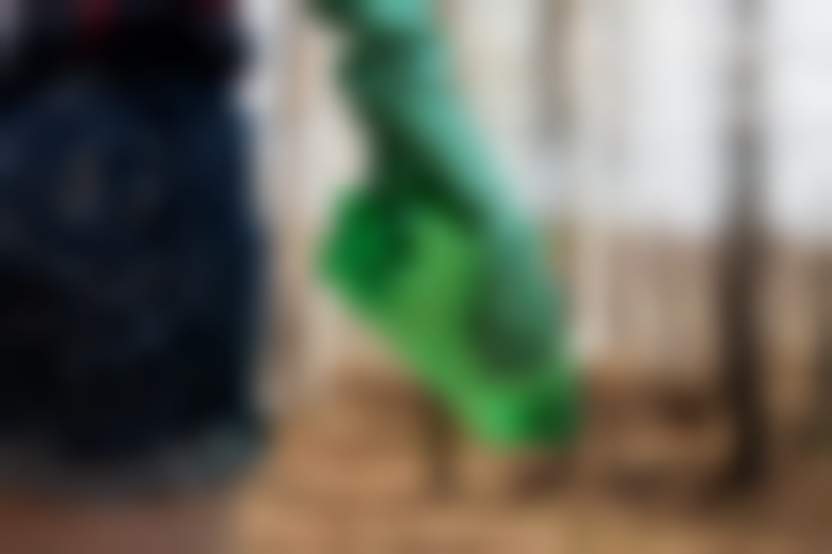 Anastasia Gepp / Pixabay 