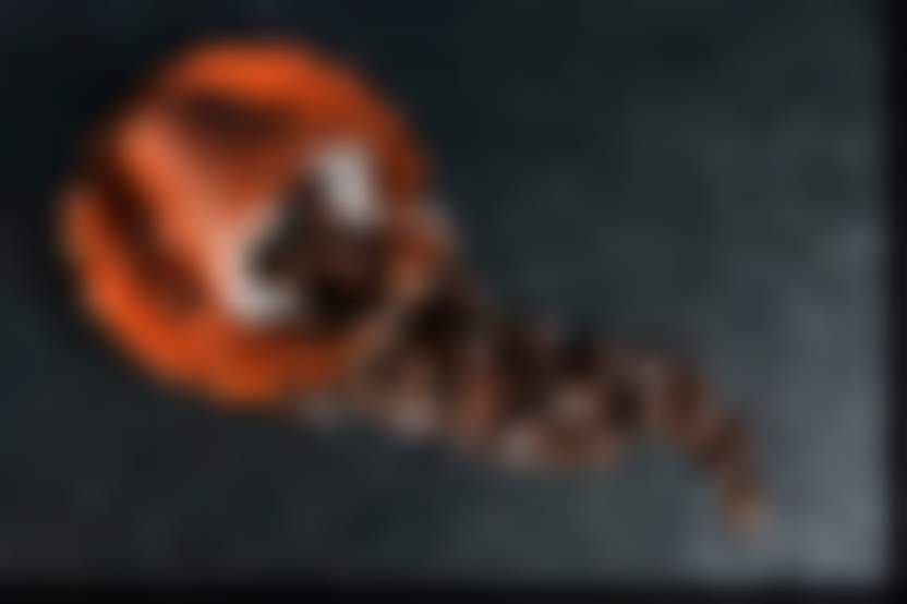 Christoph / pixabay.com