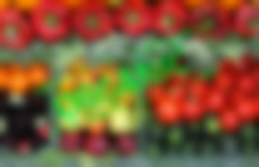 Источник: Pixabay