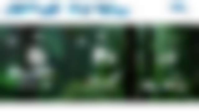 Как компании помогают друг другу быть более устойчивыми и экономить? 