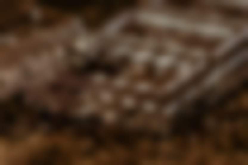 Источник: Pixabay